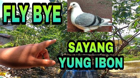 pinayflix tsikot|Dinakot ni Bobot Ang Bebot sa Tsikot.